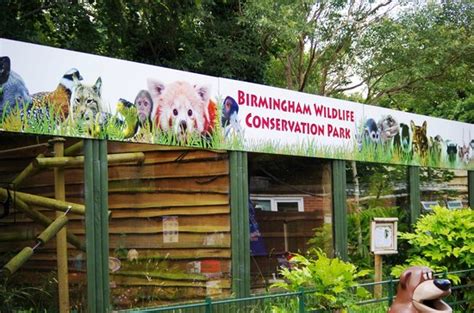 The Park Cages for animals  Picture of Birmingham Wildlife