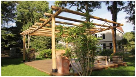 Bamboo Pergola Decked Area And Bamboo Tree Supports