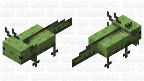 Lush Cave Axolotl Minecraft Mob Skin