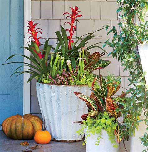 How To Keep Your Garden Lush All Fall These White Ceramic Containers