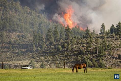 Douglas County On Alert As Tamarack Fire Moves East Nevada State News