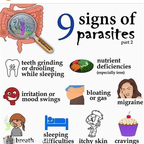 9 Signs Of Parasites How To Stay Healthy Natural Health Care