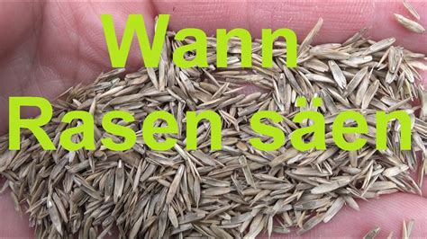 From www.magazin360.de zeigen sich kahle stellen im rasen, sollten sie diese vertikutieren und anschließend ein gemisch aus sand. Wann Rasen aussäen Rasen säen Temperatur Zeitpunkt Rasen ...