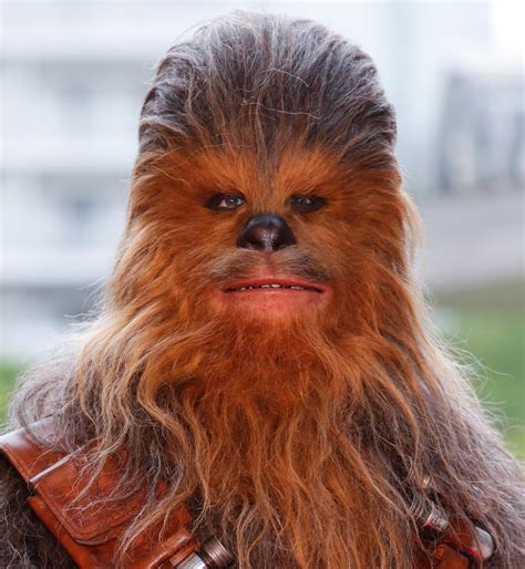 The Actor That Played Wookiee Chewbacca In Star Wars Dies At 74