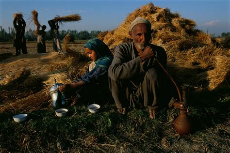 A Young Kashmiri Girl Enjoys Evening Tea During Harvest Time In The