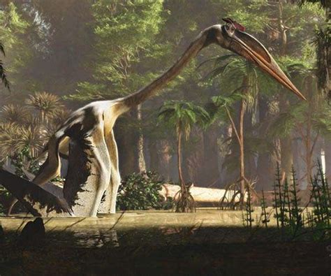 Exceedingly Rare Intact Pterosaur Fossil From Jurassic Period Found In Scotland