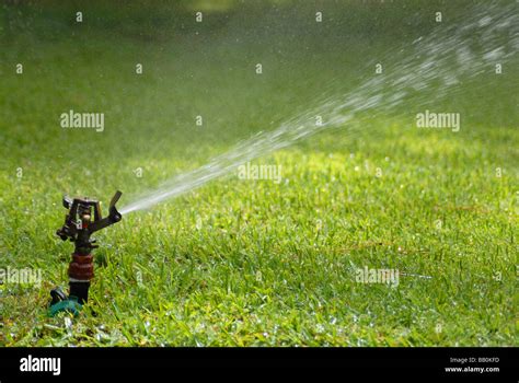 Lawn Sprinkler Spraying The Green Grass With Fresh Water Stock Photo