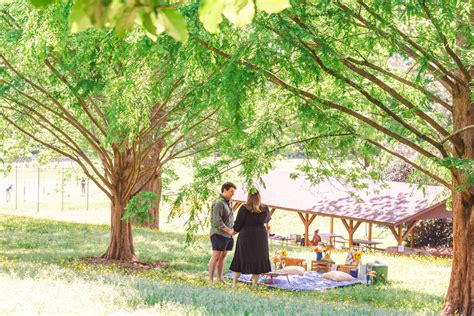 Spring Picnic Proposal In Raleigh Park — Southern Picnics