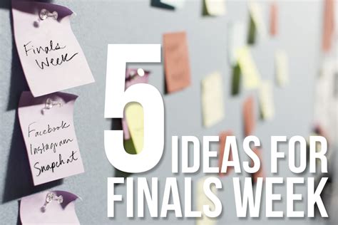 5 Ideas For Finals Week Csusocial