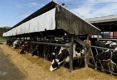 Information On Factory Farms Is Spotty At Best The Government Has Been