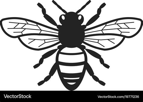 Bee Vector Cartoon Bee Free Vector Eps Cdr Ai Svg Vector Illustration
