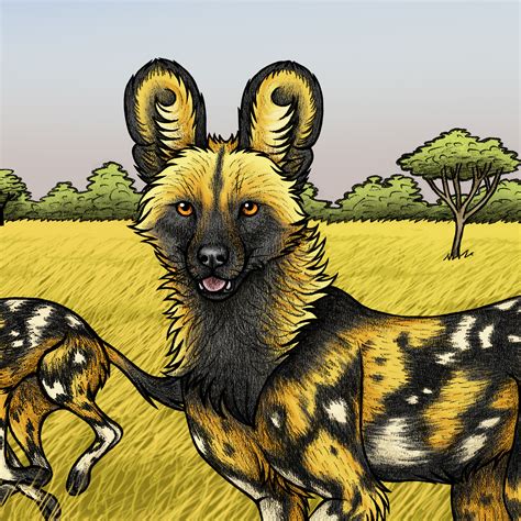 African Painted Dogs Lyndsey Green Illustration
