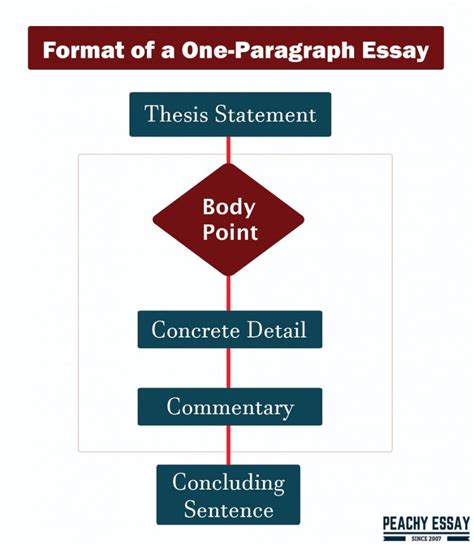 Pointers When You Are Writing A One Paragraph Essay Example