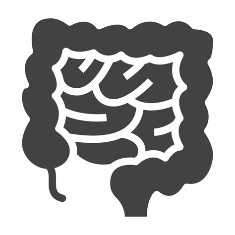 Abdomen Bowel Digestion Intestines Organ Icon Download On Iconfinder