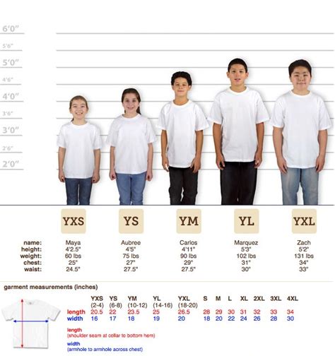 Size Chart Youth Medium T Shirt