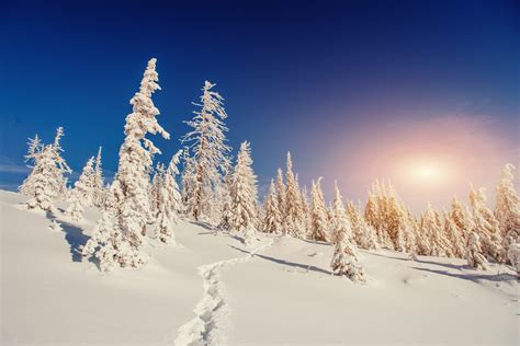 Fantastic Winter Landscape In The Mountains Of Ukraine Law21