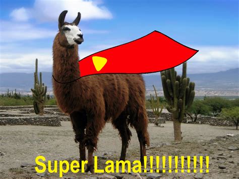 Super Lama By Mspyromaniac On Deviantart