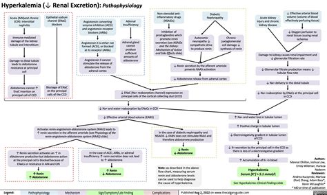 Hyperkalemia Detailed Pathophysiology ↓ Renal Excretion Calgary Guide