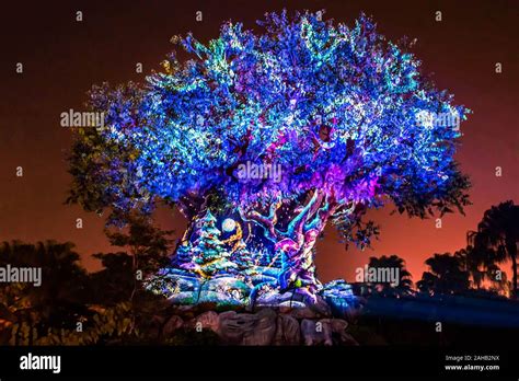 Orlando Florida December 16 2019 Tree Of Life Awakenings In