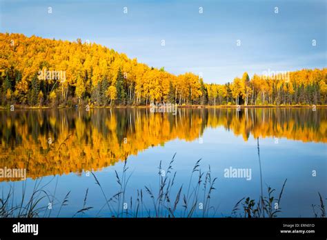 Autumn Coloured Hill Reflecting On Nancy Lake Nancy Lake State