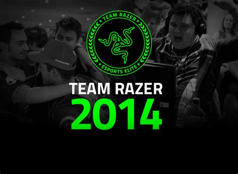 Team Razer 2014 Infographic Team