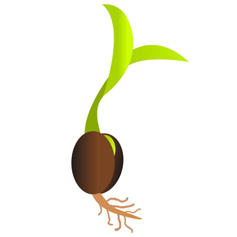 Free Seed Cliparts Download Free Seed Cliparts Png Images Free Cliparts On Clipart Library