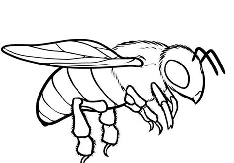 Bee Coloring Pages For Adults Bee Coloring Pages Coloring Pages