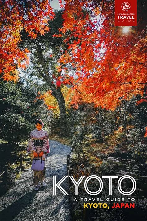 The First Timers Travel Guide To Kyoto Japan 2019 Will Fly For Food
