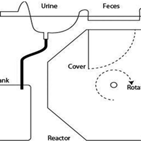 Arrangement Of Composting Toilet Download Scientific Diagram