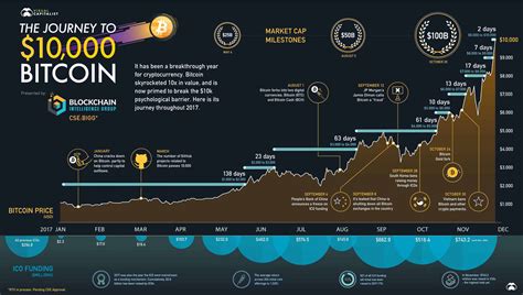 The Fascinating Bitcoin Journey Through 10k Daily Infographic