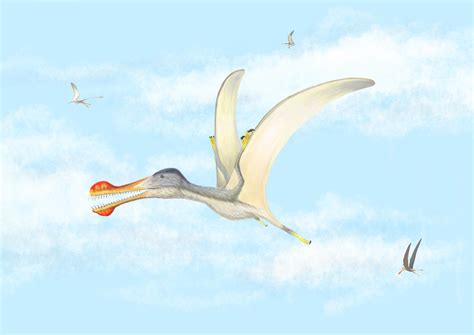 Three New Species Of Flying Reptiles Discovered Pterosaurs That Inhabited The Sahara 100