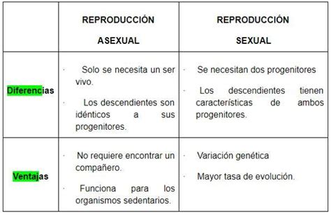 Compara Las Ventajas Y Los Inconvenientes De La Reproducción Asexual Y