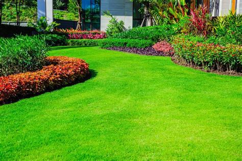 Why Hire A Landscape Designer To Remodel Your Outdoor Space Shrubhub
