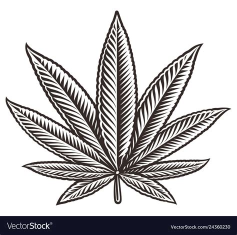 A Cannabis Leaf Royalty Free Vector Image Vectorstock