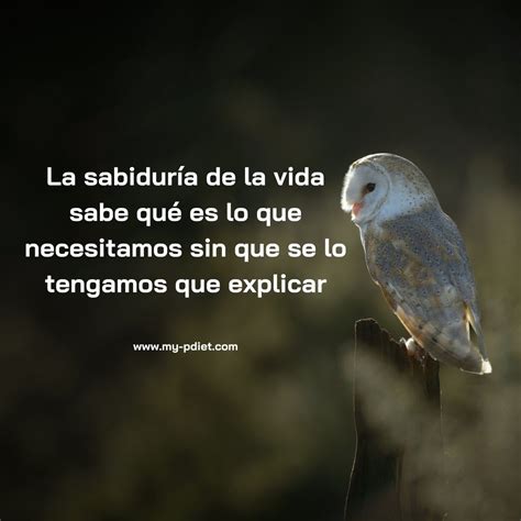 Top 135 Imagenes Con Frases De Sabiduria Destinomexico Mx