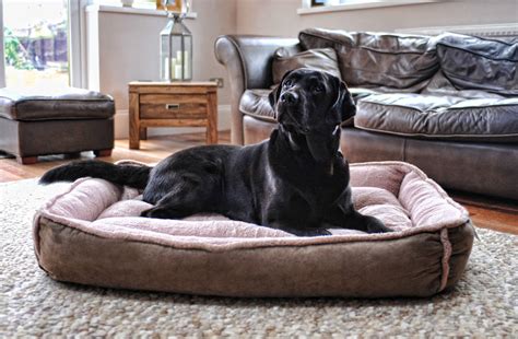 Cradle Fleece Dog Bed Xl And Xxl By Wolfybeds