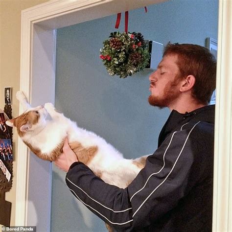 Hilarious Snaps Show Cats Fuming Reactions To Their Owners Hugging