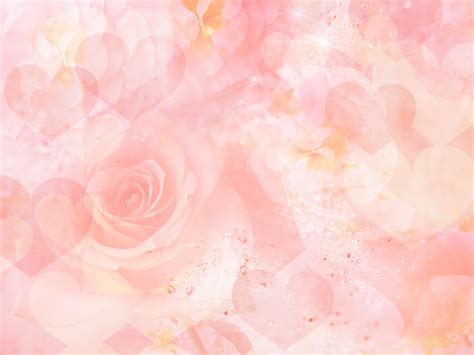 Free Download Flowers For Gt Light Pink Rose Background Wallpaper