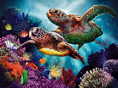 Sea Turtle Mother F Cmp Underwater Art Fishes Fish Ocean Bonito