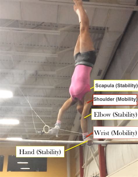 Helping With Common Gymnastics Shoulder Elbow And Wrist Injuries