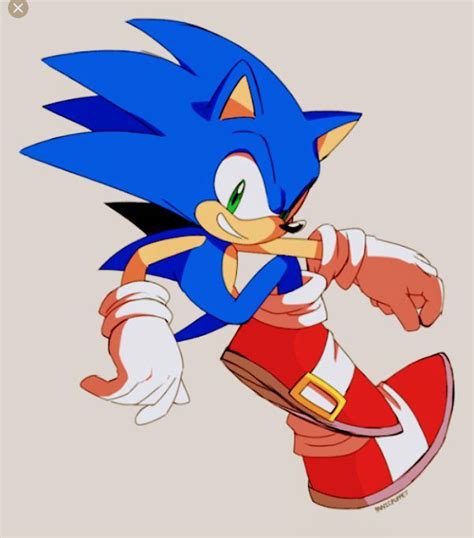 Si Los Personajes De Sonic Fueran Tus Sonic The Hedgehog Animales