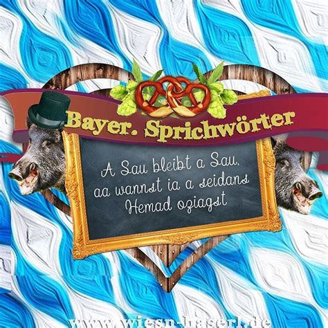 #bayern #dirndl #zitat #oktoberfest #followme | Instagram ...