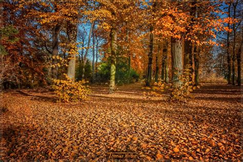 Herbst Im Park Foto And Bild Jahreszeiten Herbst Landschaften Bilder