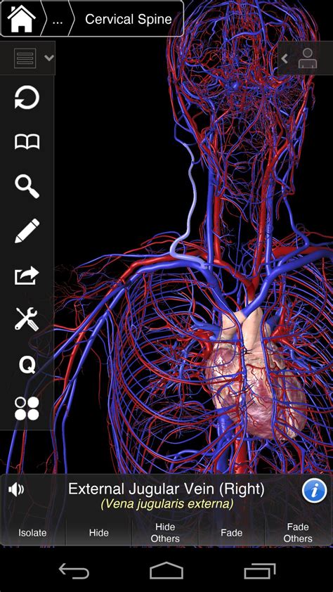 Essential Anatomy 3 For Orgs Apk For Android Download