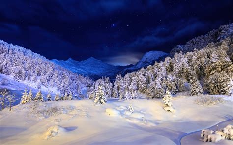 Beautiful Winter Landscape Wallpaper 1920x1200 70315