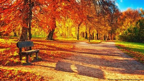 Interesting Facts About Autumn Just Fun Facts