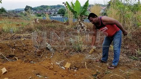 Seksyen 9 kota damansara, kuala lumpur, malaysia coordinate: Jentolak 'lanyak' kubur lama | Harian Metro