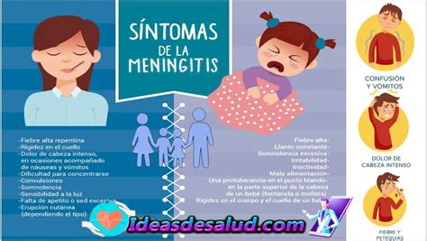 ¿cuáles Son Los Principales Síntomas De La Meningitis 2023 Ideas De Salud