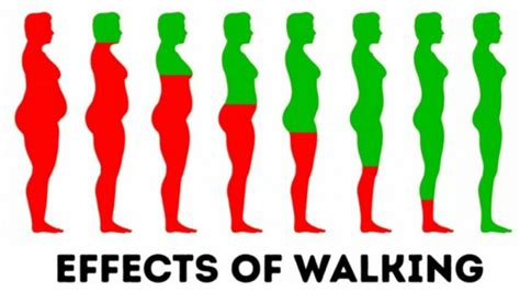 This Is What Happens To Your Body When You Walk 530 And 60 Minutes
