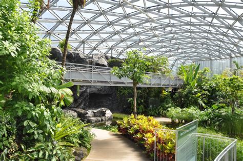 Best Botanical Gardens And Greenhouses In Tokyo Time Out Tokyo
